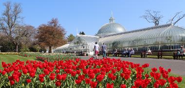 Kibble Palace at Botanic Gardens