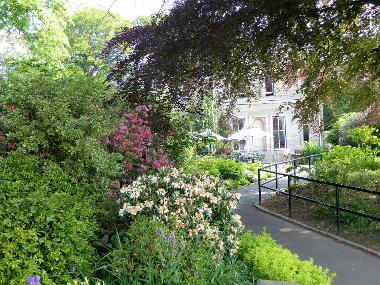 View to the Tea Room