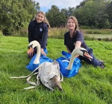 Swans move from Springburn Park