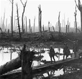 Chauteau_Wood_Ypres_1917