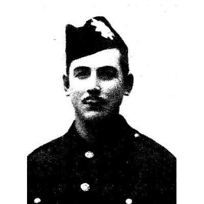 William Martin William Martin