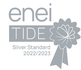 Enei silver award