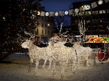 Xmas_lights_2020_reindeer